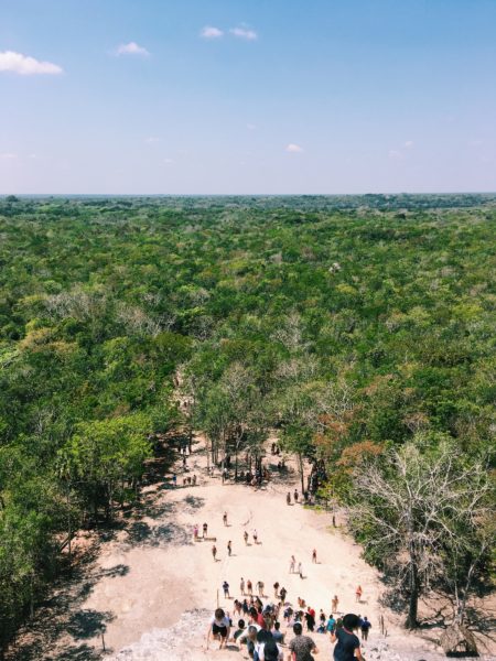 view above a pyramid overlooking archeological site Coba and trees