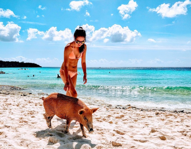 A girl in a peach bikini walk on the beach with a pig