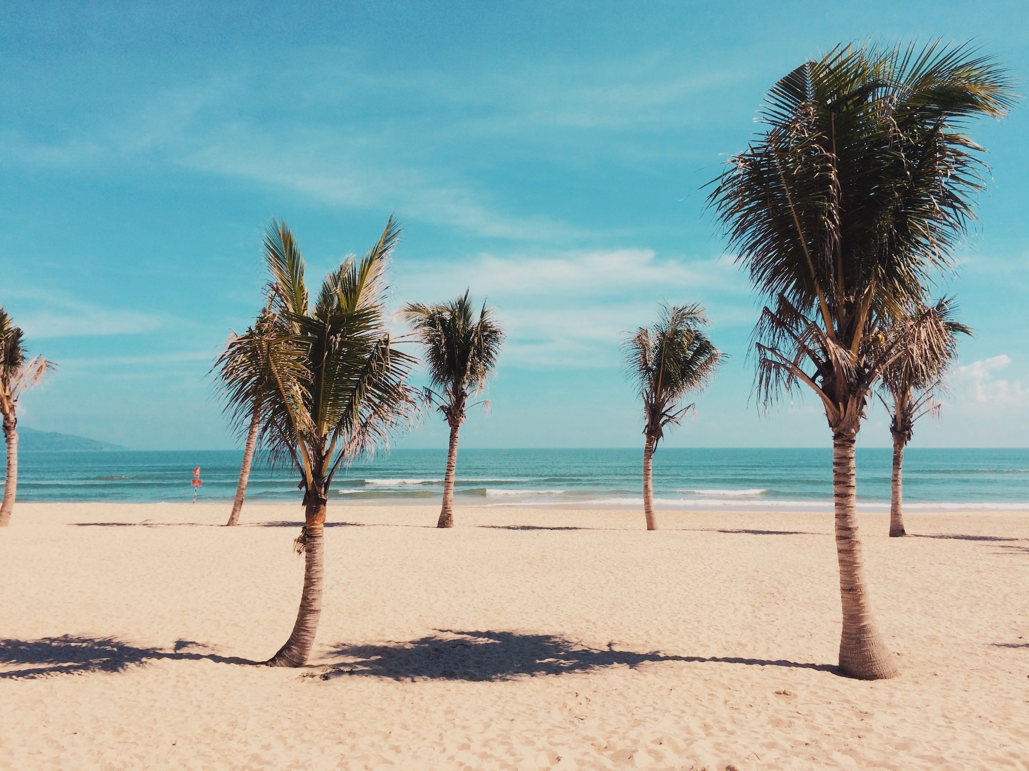 A beach in Da Nang, Vietnam with palm trees