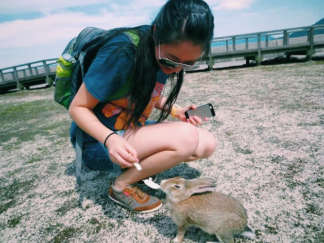 Feeding wild rabbits in Okunoshima