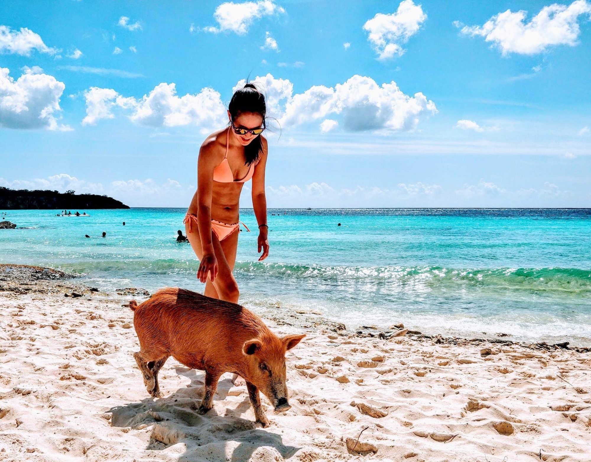 girl walking with a pig at the beach