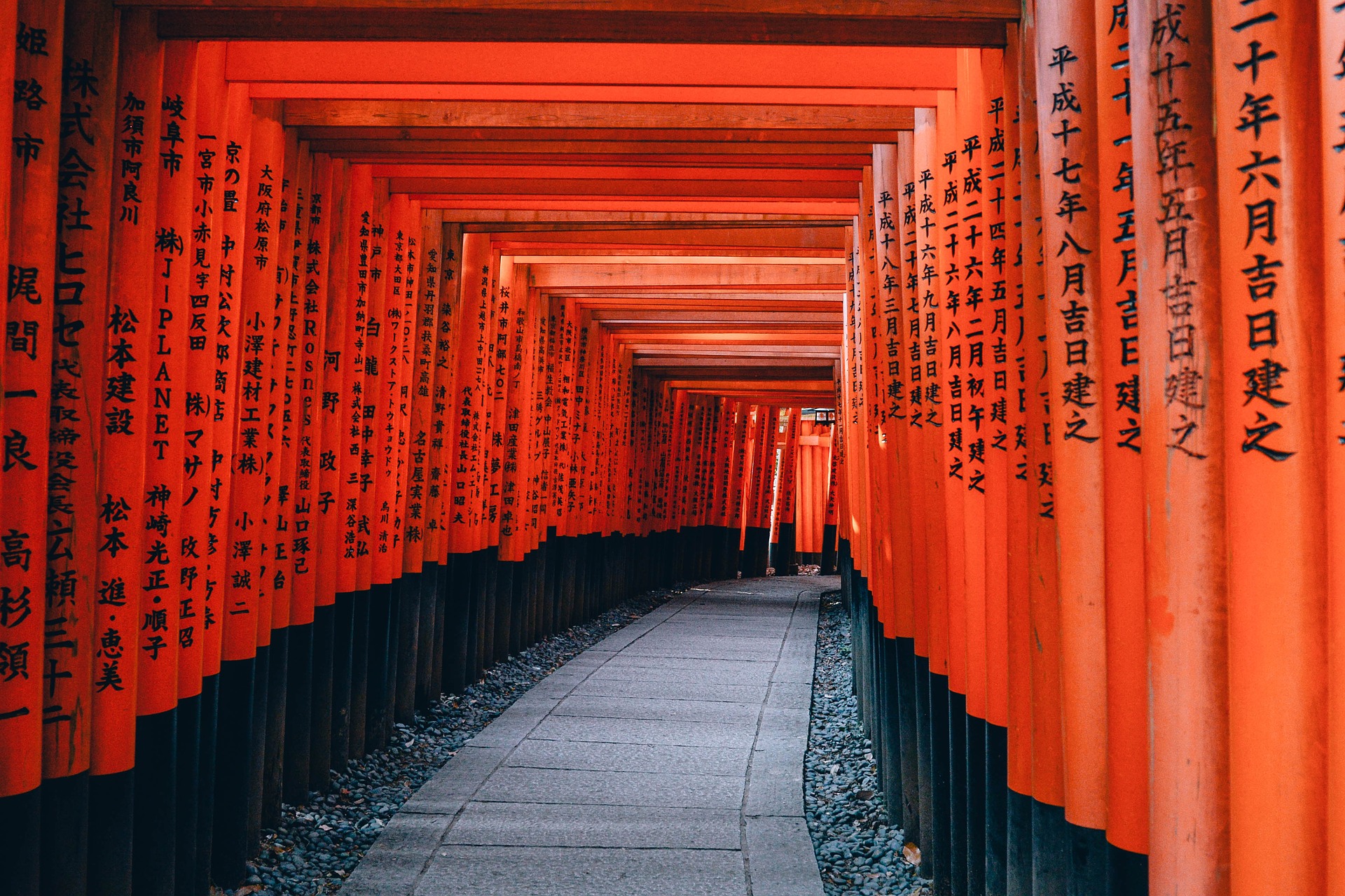 Rows of torii gates in Fushimi Inari Taisha in Kyoto, Japan