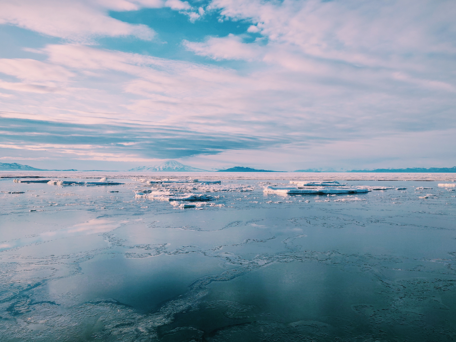 Melting sea ice and drifting icebergs in McMurdo Sound