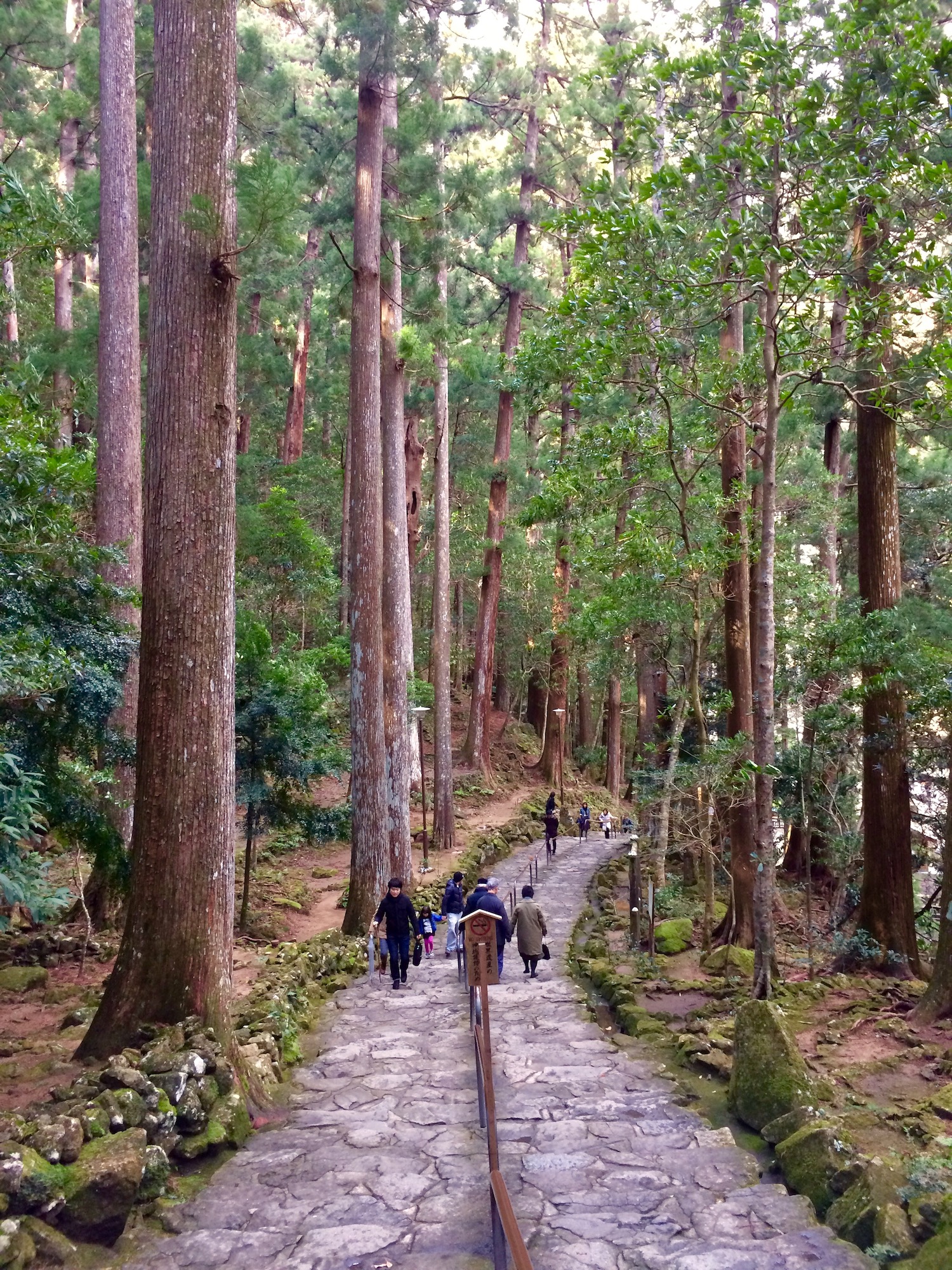 Path to Nachi no Otaki