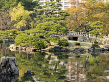 Greenery and Japanese garden in Tsuruma Park, Nagoya