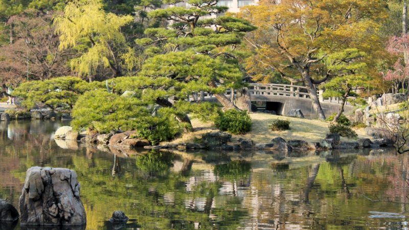 Greenery and Japanese garden in Tsuruma Park, Nagoya