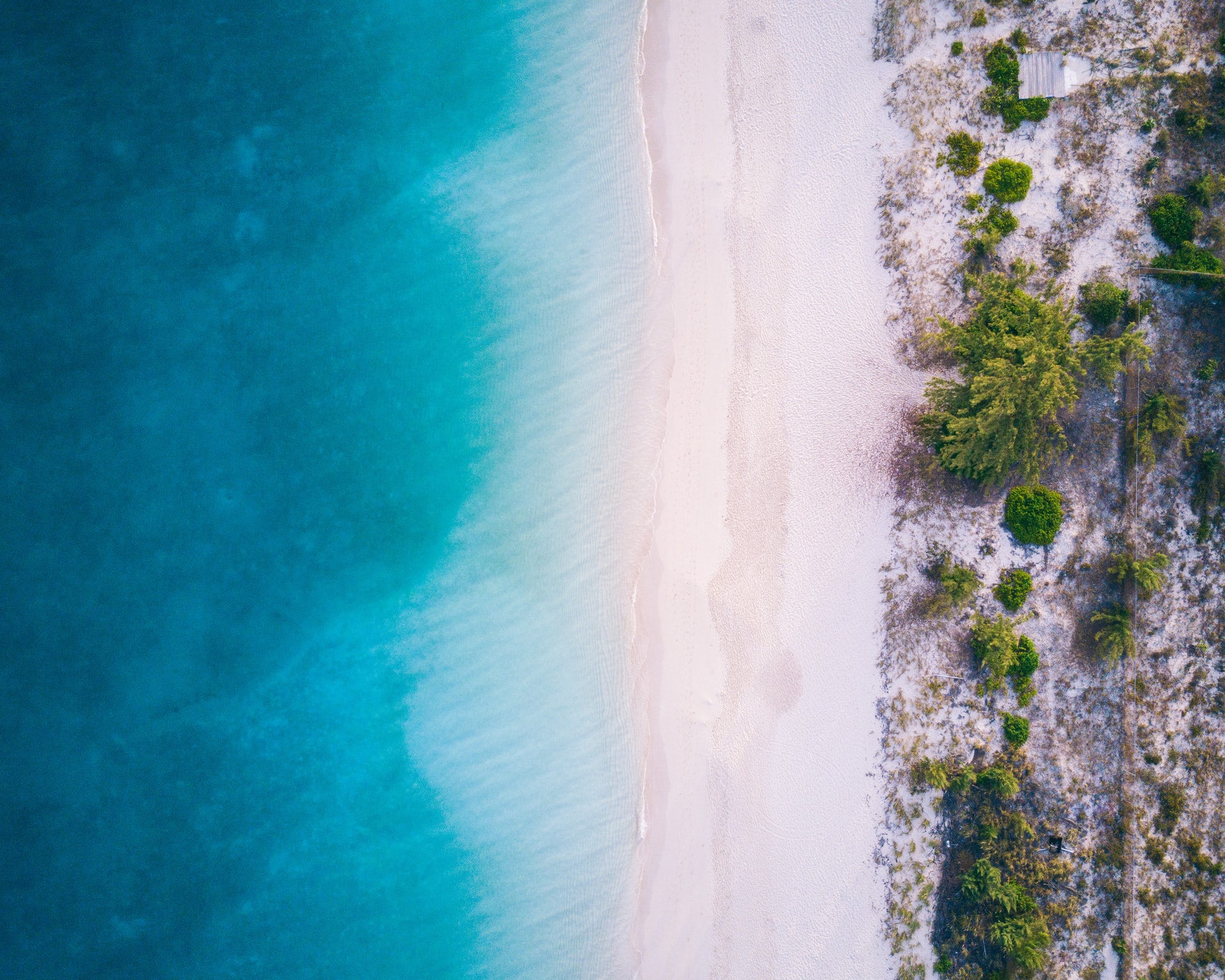 Aerial photograph of flat and walkable Grace Bay Beach in Turks and Caicos; left third of picture showing clear turquoise waters, middle third- white sand, and right third- green trees and vegetation