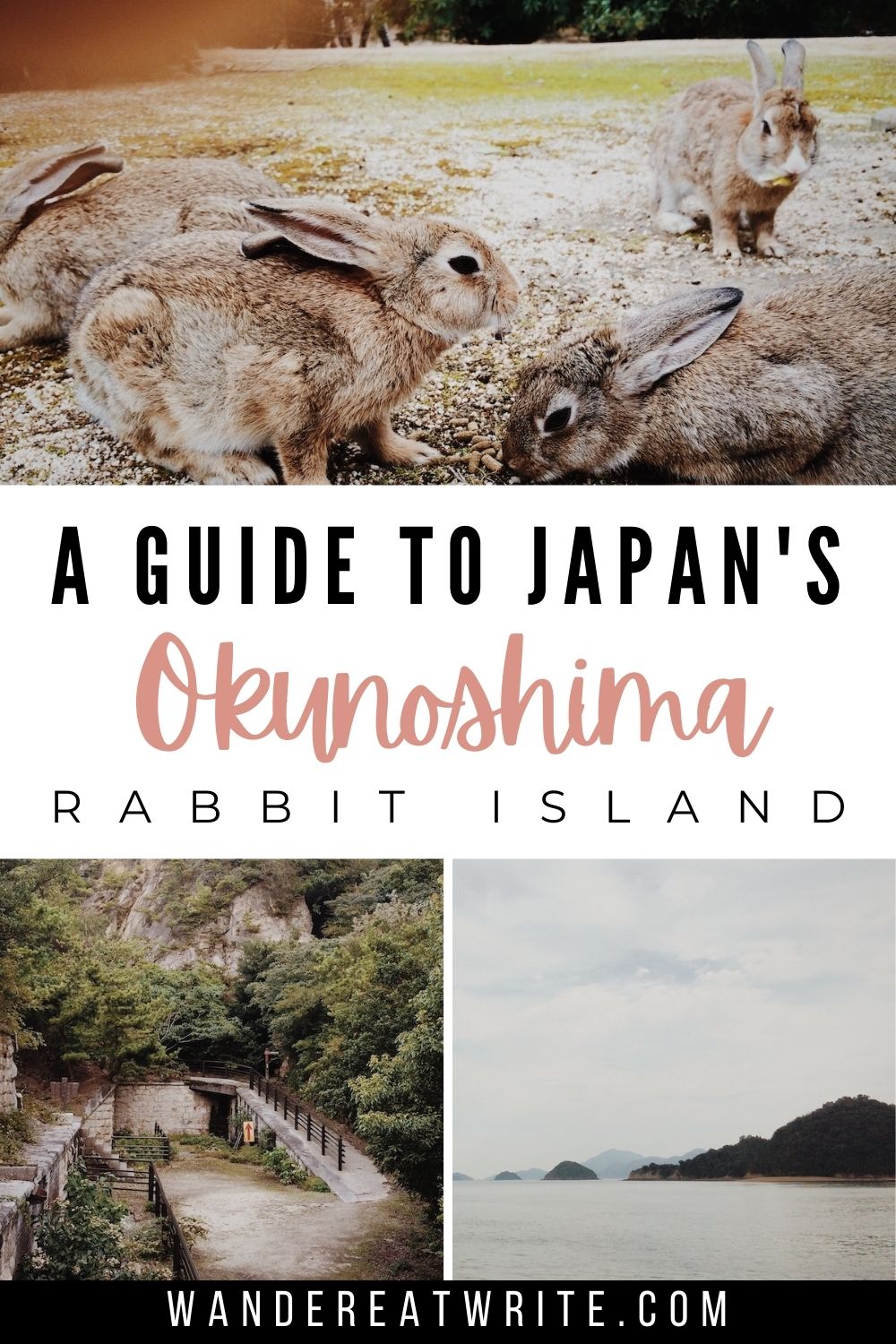 Text: A guide to Japan's Okunoshima Rabbit Island; Pictures: a group of rabbits, abandoned sites from the island, and a beach view