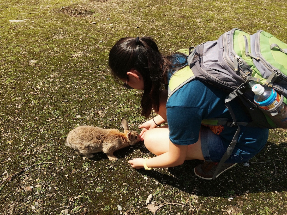 Feeding a rabbit at Okunoshima