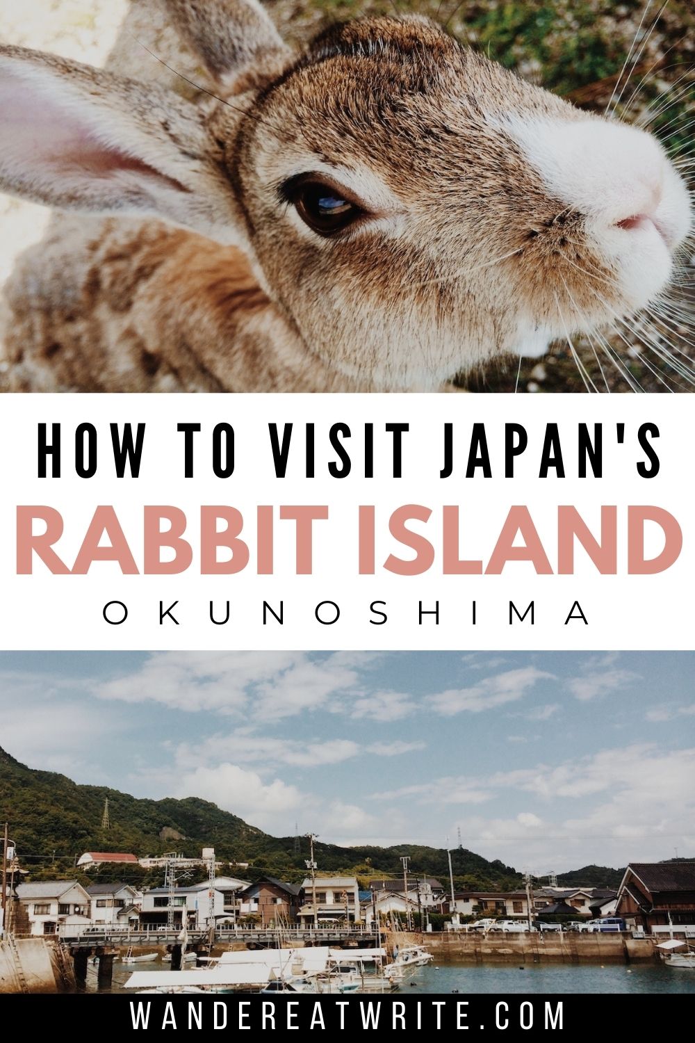 Text: How to visit Japan's Rabbit Island Okunoshima; Pictures: a closeup photo of a light brown rabbit and the Tadanoumi Port
