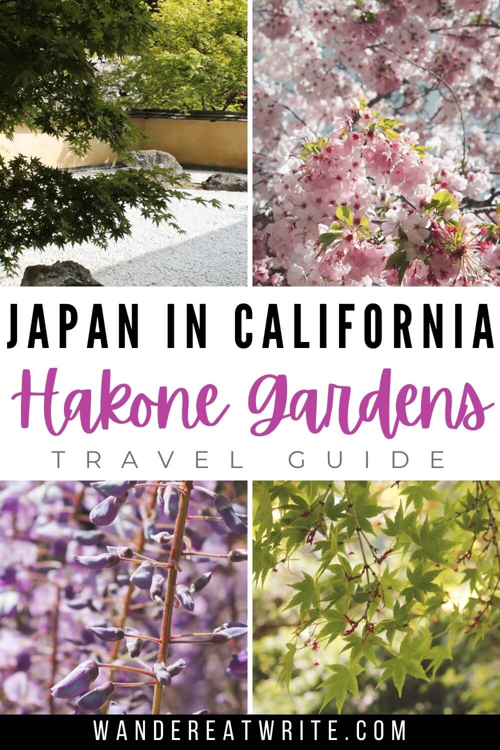 Text: Japan in California: Hakone Gardens travel guide; photos: japanese rock garden, cherry blossoms, wisteria, and maple leaves