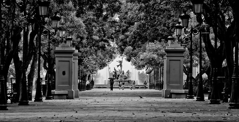 black and white photo of tree lined promenade with fountain at the end