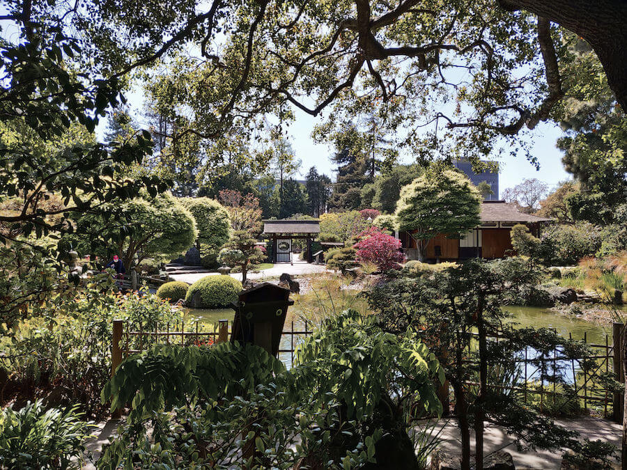 View of the entrance to San Mateo Japanese Garden from inside; various manicured vegetation and pond