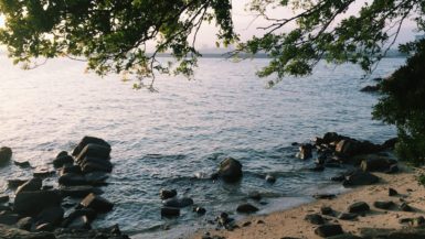 takeshima beach with small rocks on the shore and branches hanging down