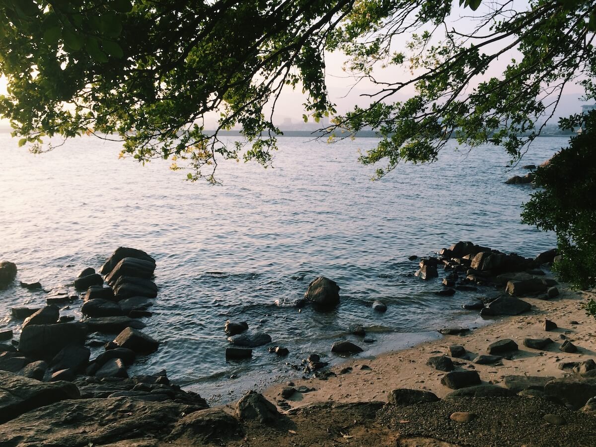 takeshima beach with small rocks on the shore and branches hanging down