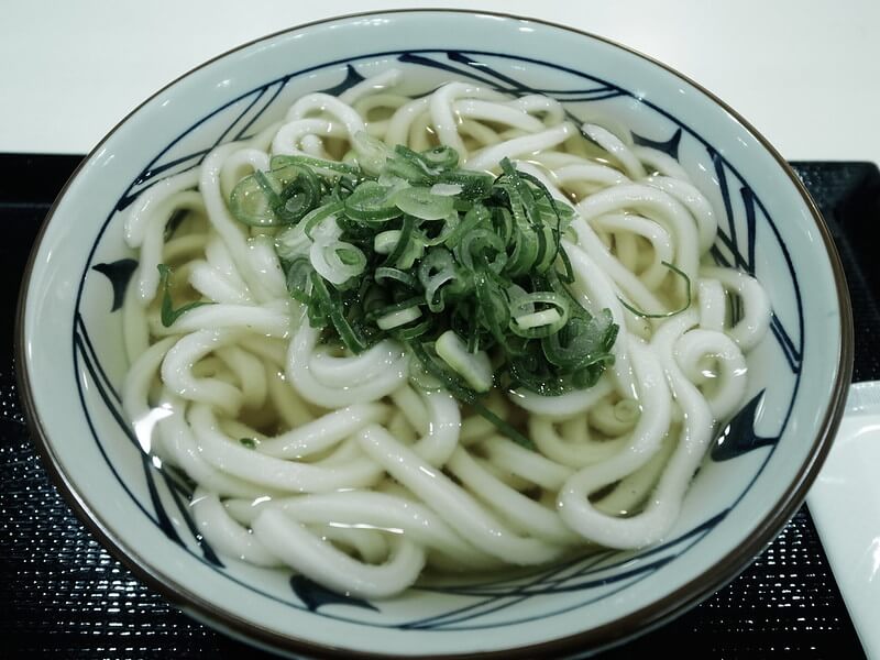 udon in a bowl topped with sliced green onions
