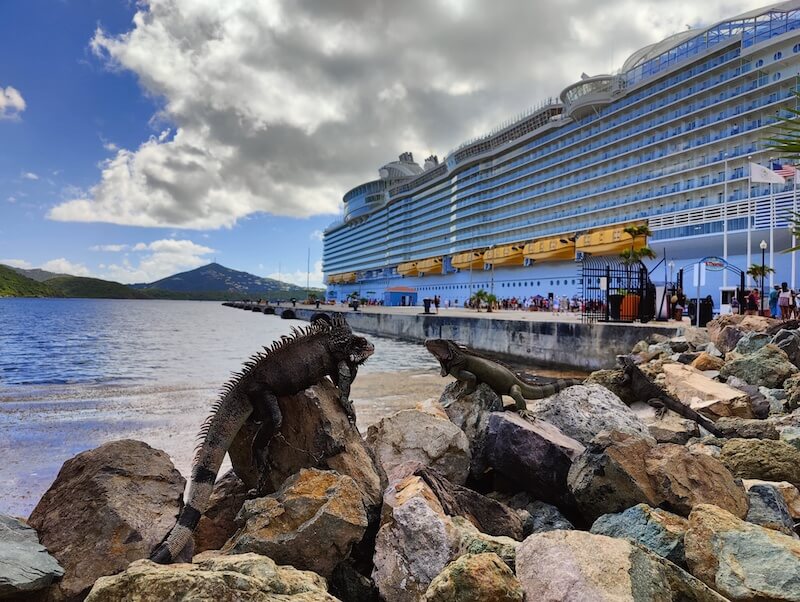 Symphony of the Seas docked in St. Thomas with a pair of iguanas sitting on rocks in the foreground