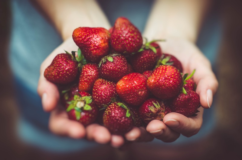 A person holds a bunch of strawberries in their hands
