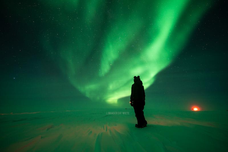 A person (michelle) stands on ice looking at green southern lights (not Northern LIghts) in Antarctica