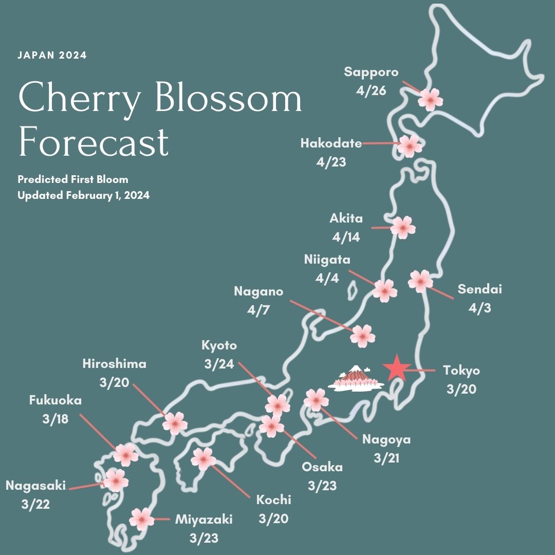 Japan 2024 Cherry Blossom Forecast with predicted first bloom. Last updated February 1, 2024. Nagasaki: 3/22, Miyazaki: 3/23, Fukuoka 3/18, Kochi 3/20, Hiroshima 3/20, Osaka 3/23, Kyoto 3/24, Nagoya 3/21, Nagano 4/7, Tokyo 3/20, Niigata 4/4/, Sendai 4/3, Akita 4/14, Hakodate 4/23, Sapporo 4/26