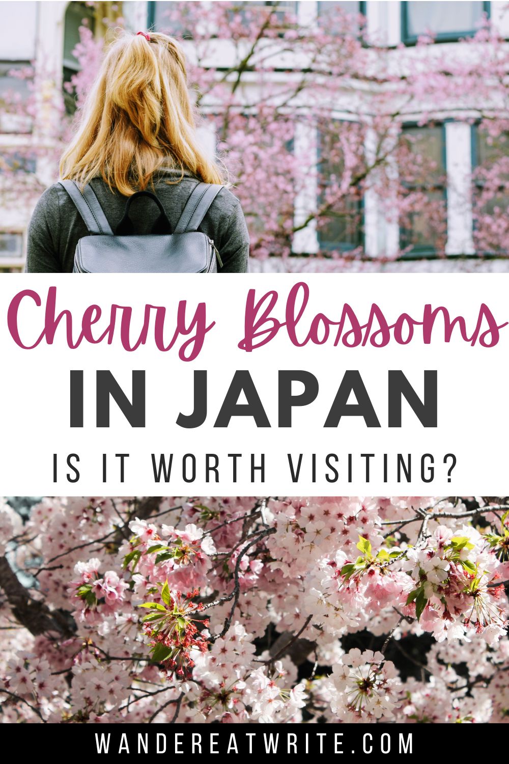 Pin title: Cherry Blossoms in Japan: Is it worth visiting? Top photo: a woman stands in front of a building with pink cherry blossoms; bottom photo: light pink cherry blossoms on a tree