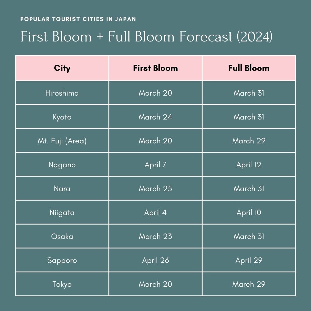 Popular Tourist cities in Japan first bloom & Full bloom forecast 2024. (written city: first bloom date, full bloom date) HIroshima: 3/20, 3/31. Kyoto: 3/24, 3/31. Mt. Fuji: 3/20, 3/29. Nagano: 4/7, 4/12. Nara: 3/25, 3/31. Niigata: 4/4, 4/10. Osaka: 3/25, 3/31. Sapporo: 4/26, 4/29. Tokyo: 3/20, 3/29