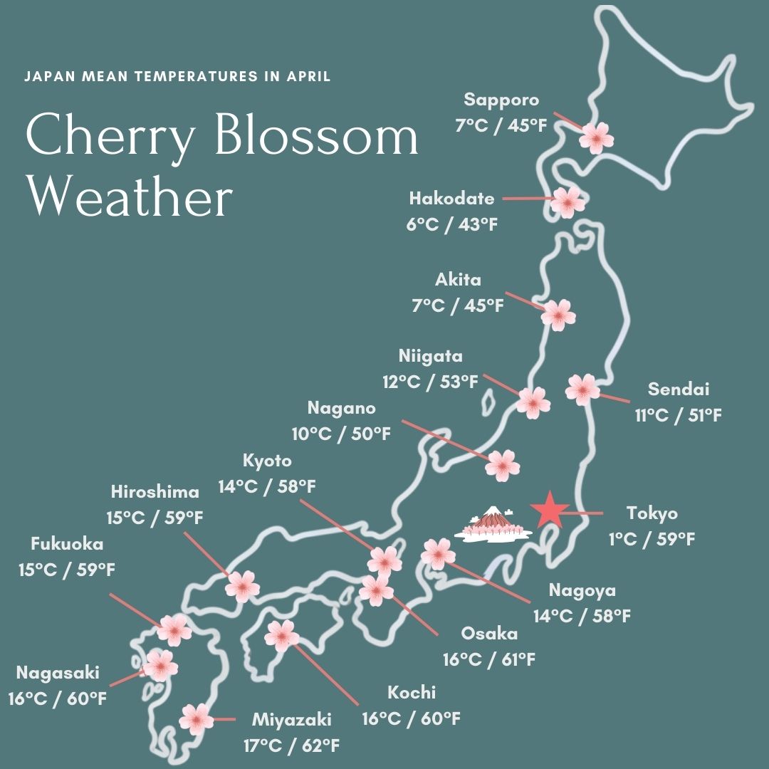 Cherry blossom weather- Japan mean temperatures in April. Fukuoka: 59F. Nagasaki 60F. Miyazaki 62F. Kochi 60F. HIroshima 59F. Kyoto 58F. Osaka 61F. Nagoya 58F. Nagano 50F. Tokyo 59F. Niigata 53F. Sendai 51F. Akita 45F. Hakodate 43F. Sapporo 45F.