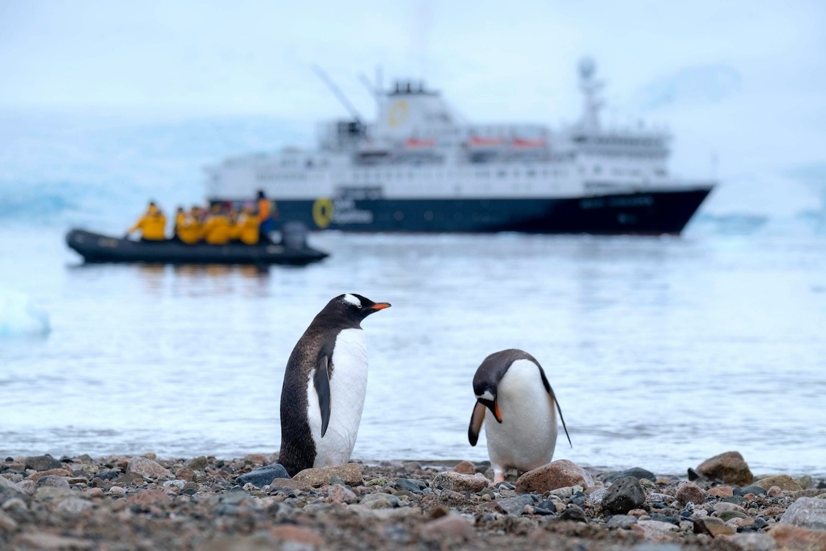 Two gentoo penguins stand on a rocky shore in the foreground with a zodiac in midground with Antarctica cruisers wearing orange parkas, and an Antarctica expedition ship in the background