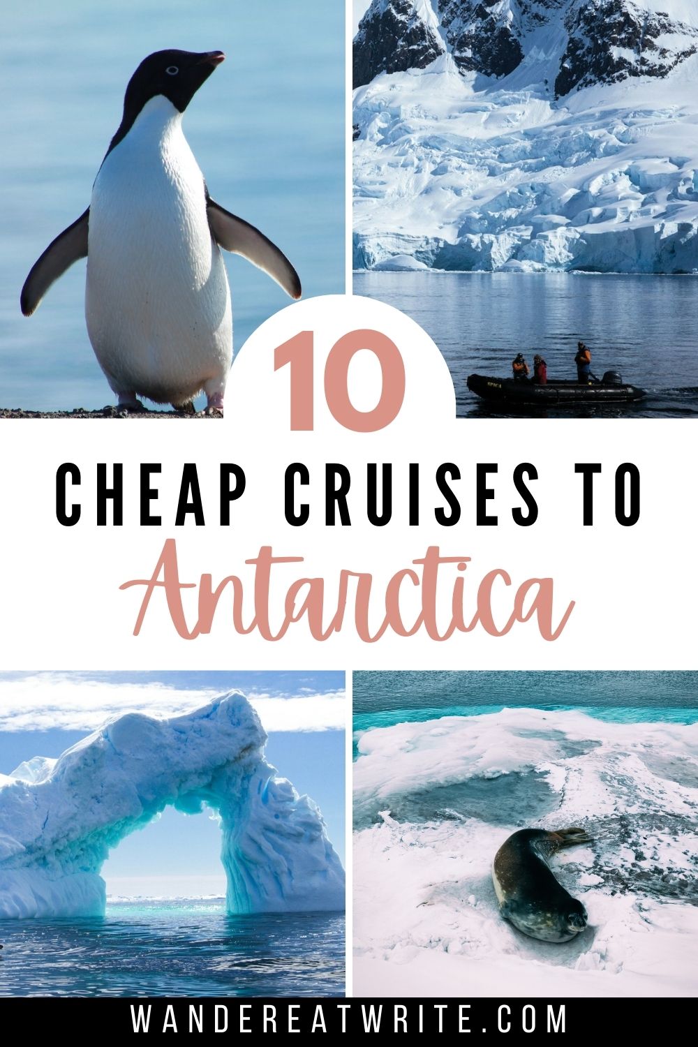 Pin title: 10 cheap cruises to Antarctica. Top left photo: an adelie penguin, top right photo: three people in red parkas in a zodiac look at a large glacier, bottom left photo: an archway of ice in the water, bottom right photo: a seal on ice