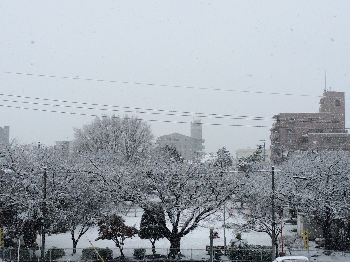 Light snow in Nagoya falls over a park lined with bare-branched trees