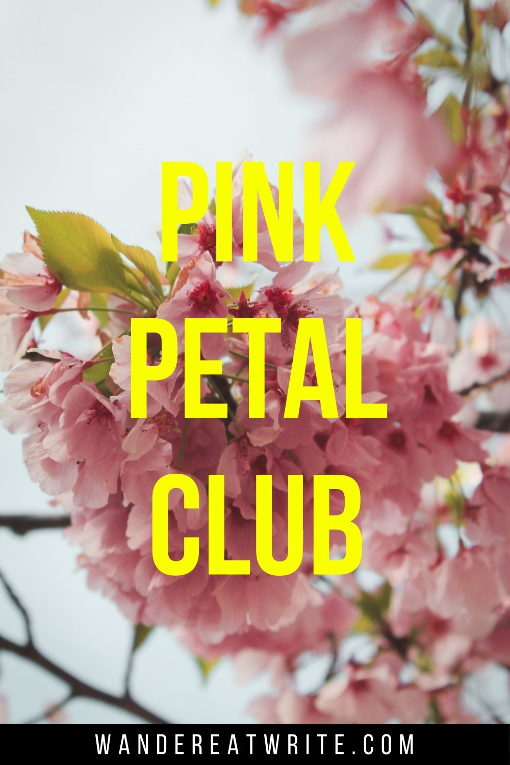 Pin text: Pink Petal Club. Background photo: soft and dreamy photo of pink sakura clusters