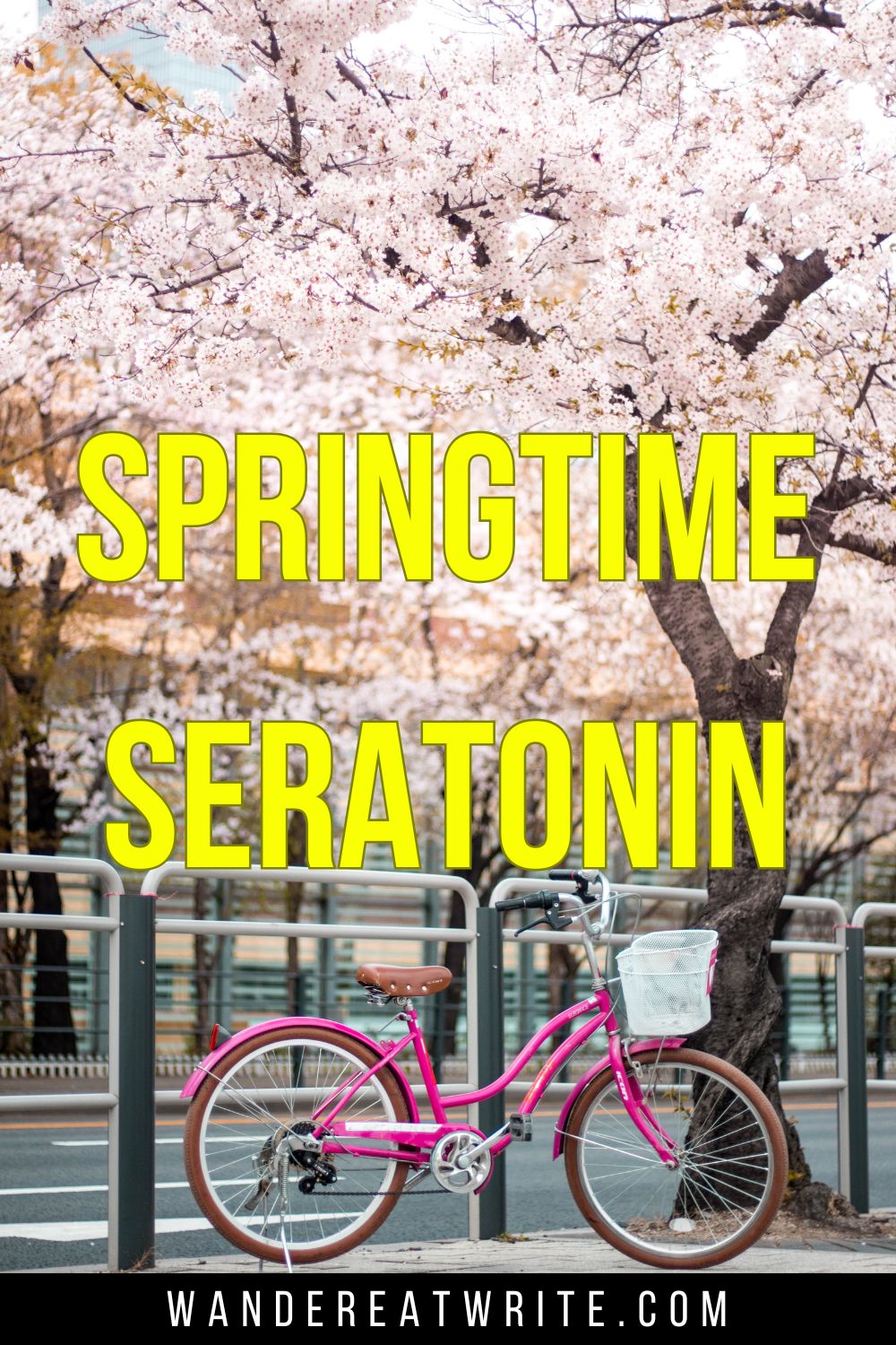 Pin text: Springtime Seratonin. Background photo: a pink bicycle sits under a bloomed cherry tree