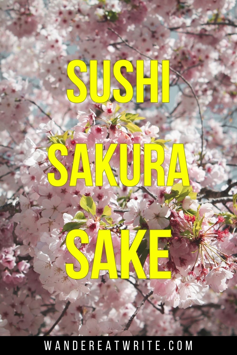 Pin text: Sushi, Sakura, Sake. Background photo: pink cherry blossoms