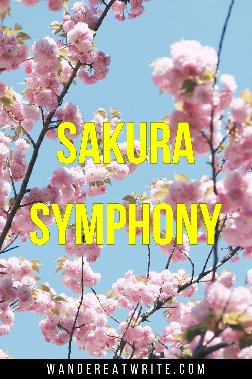 Pin text: Sakura Symphony. Background photo: pink cherry blossoms in front of a blue sky