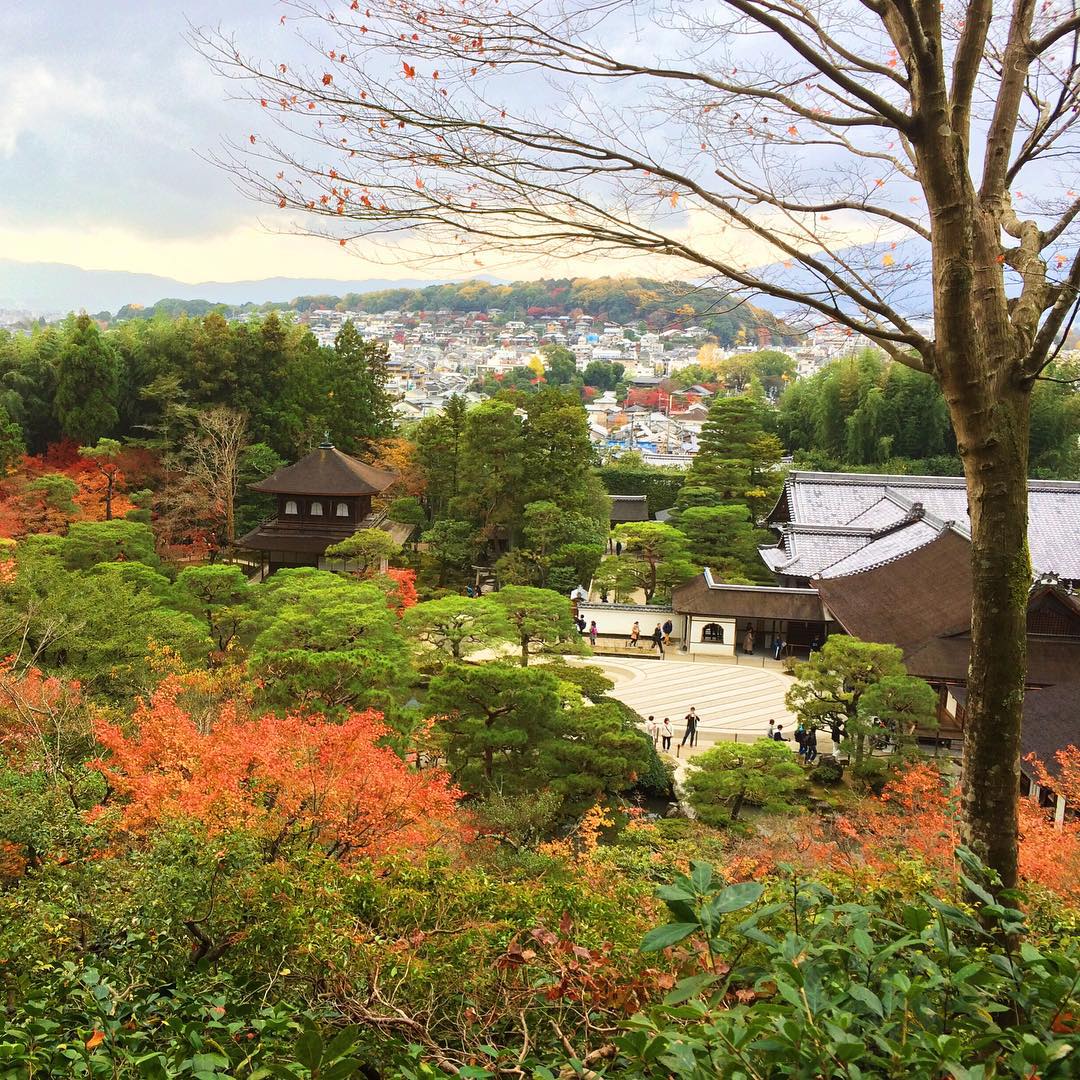 silver temple golden view japanadventures omnomsinjapan