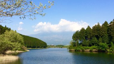 lake and trees