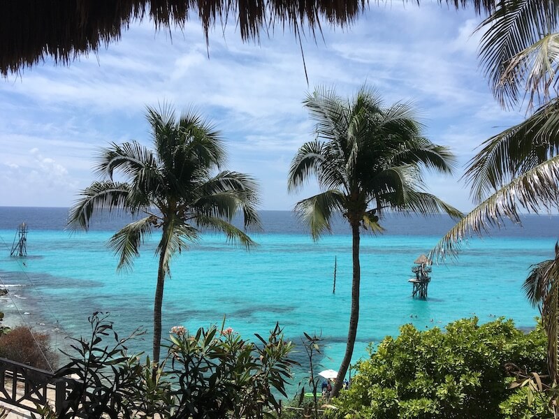 turquoise waters with palm trees