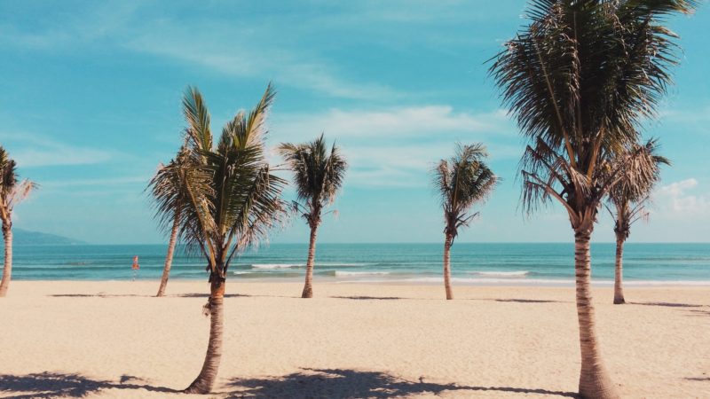 A beach in Da Nang, Vietnam with palm trees