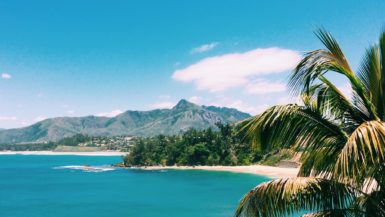 Madagascar beach and palm tree