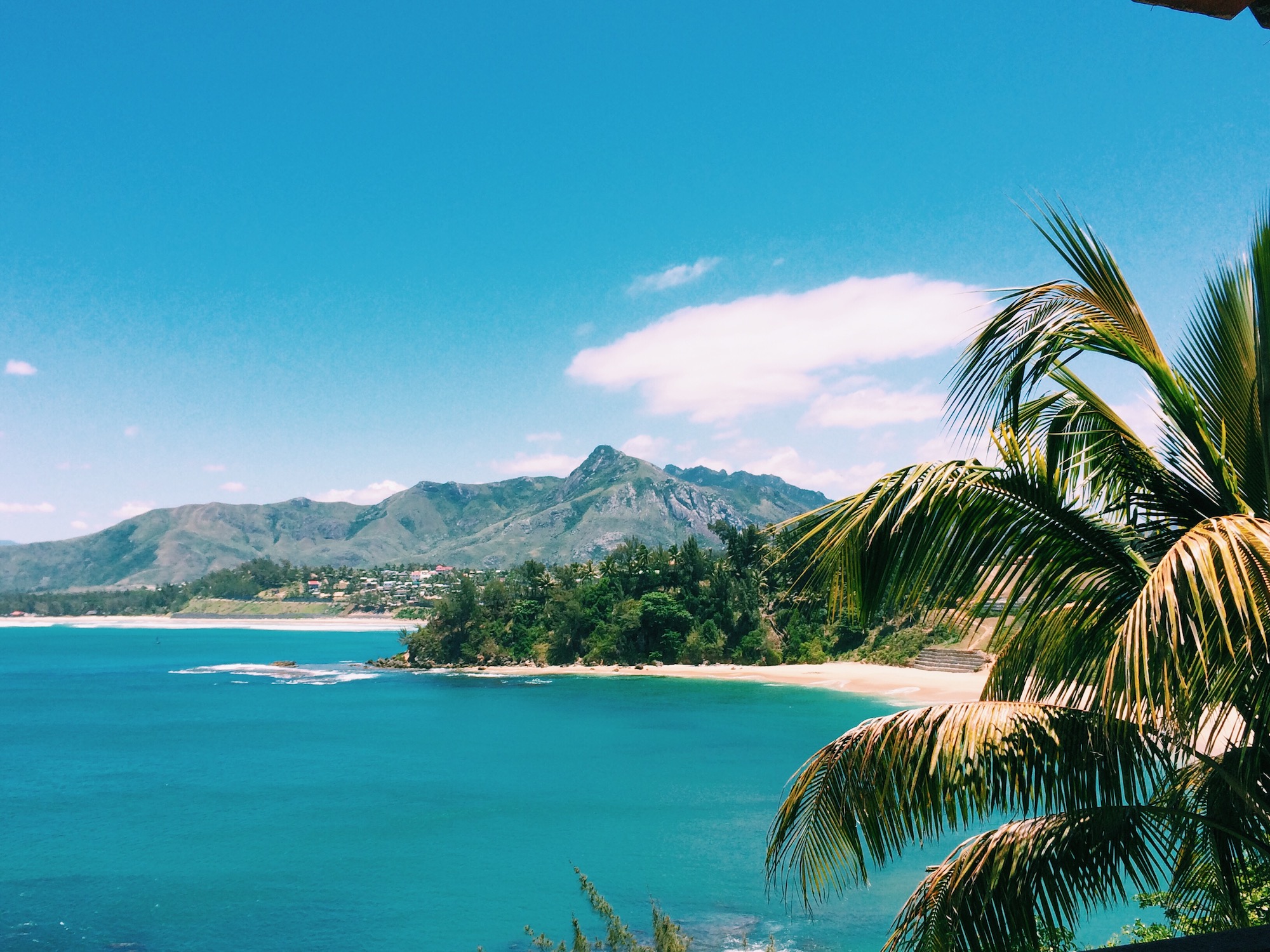 Madagascar beach and palm tree