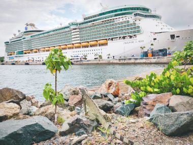 Freedom of the Seas