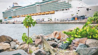 Freedom of the Seas