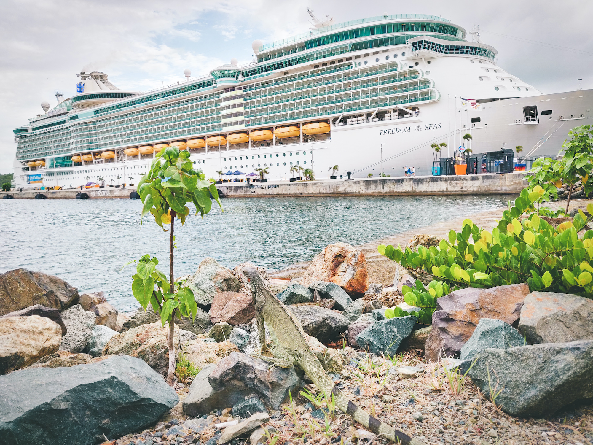 Freedom of the Seas