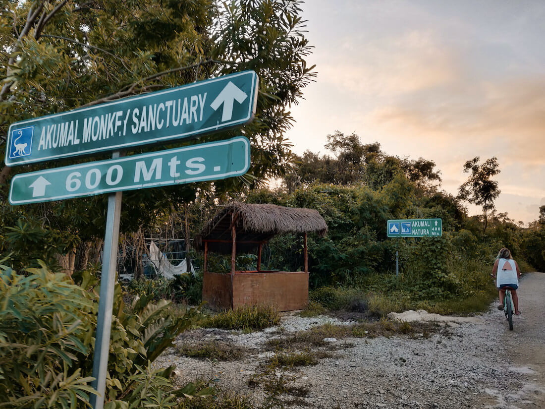 Akumal path to monkey sanctuary and Natura Glamping site