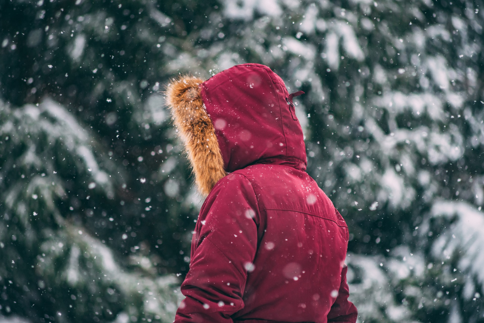 red winter coat with fur lined hood