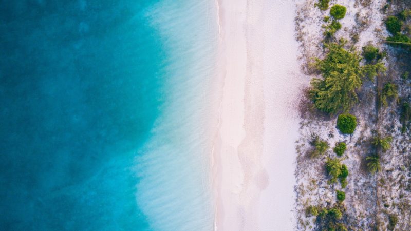 Aerial photograph of flat and walkable Grace Bay Beach in Turks and Caicos; left third of picture showing clear turquoise waters, middle third- white sand, and right third- green trees and vegetation