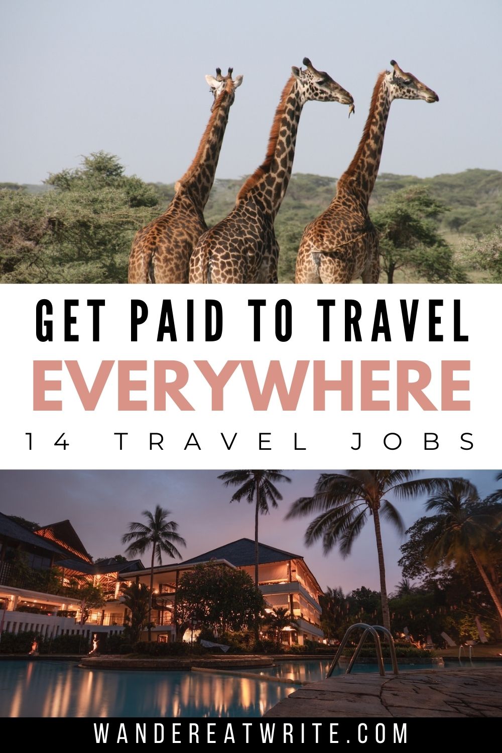 Text: get paid to travel everywhere; top photo: three giraffes in africa; bottom photo: nighttime at a resort with pool lit from inside