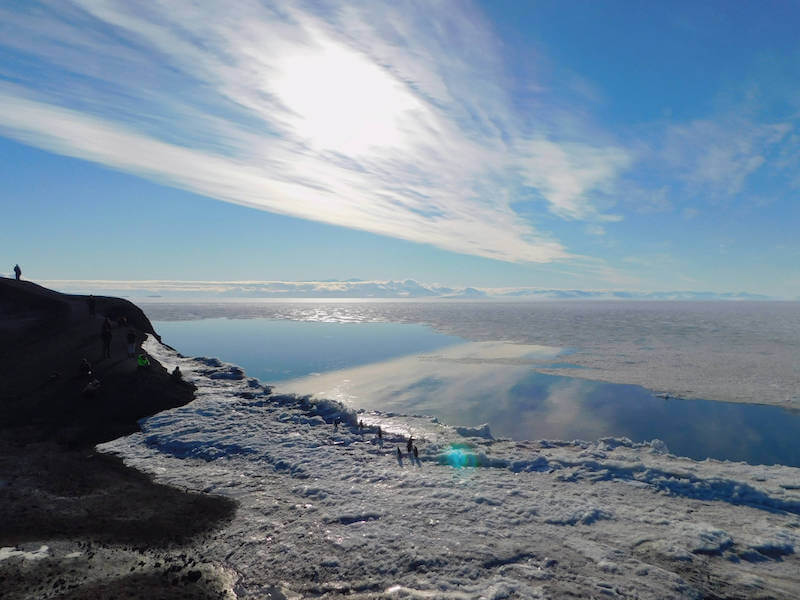 sea ice melting, sun and blue skies, small silhouettes of penguins