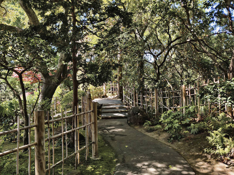 walking path in japanese garden