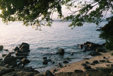 takeshima beach with small rocks on the shore and branches hanging down